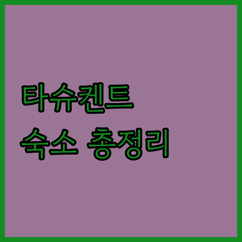 직접 확인한 타슈켄트 숙소 특징 총정..