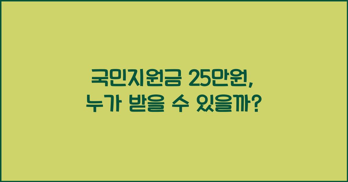 국민지원금 25만원