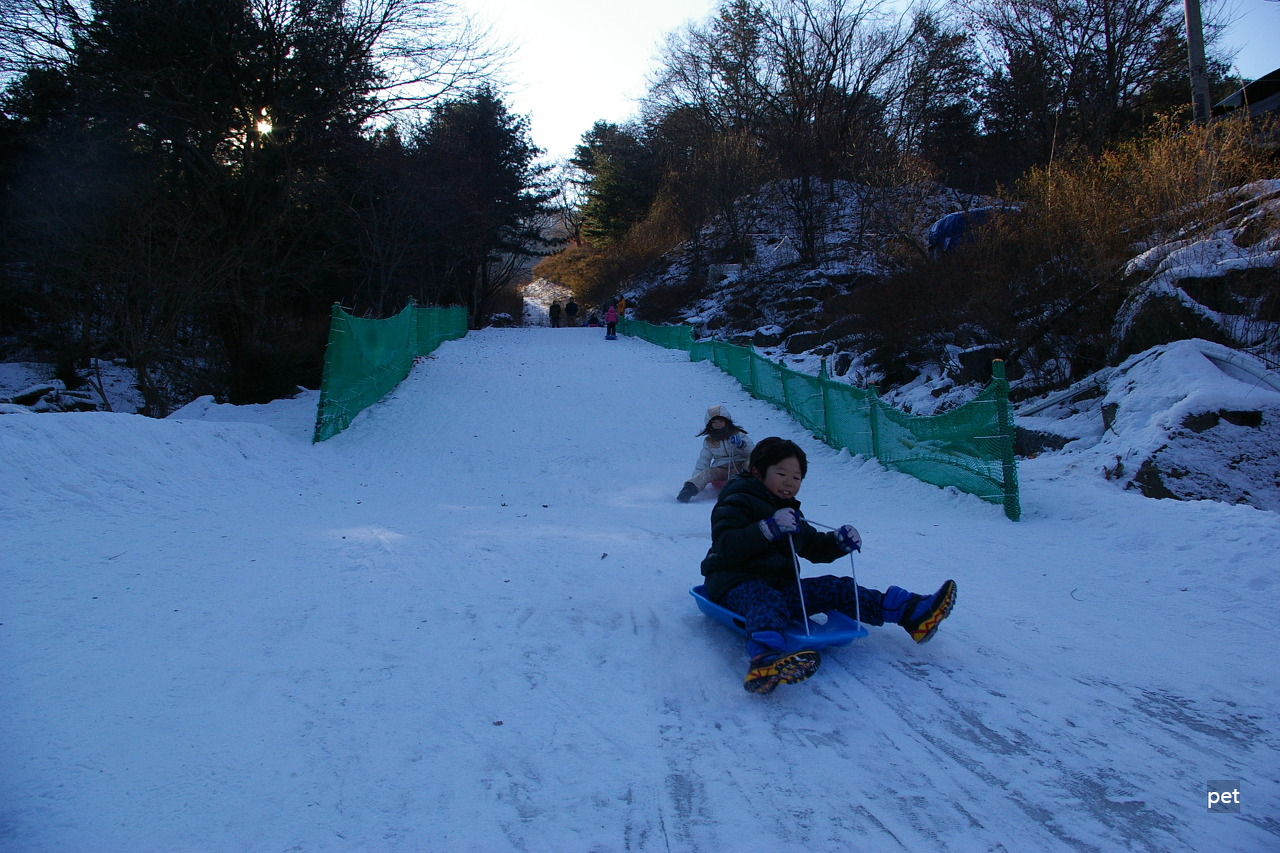 경기-동두천-산야초자연캠핑장-예약-방법-애견-동반-가격-주소-시간-후기