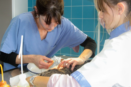 흉수를 빼는 것.