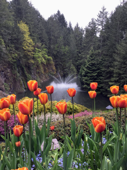 캐나다 부차트 가든 사진