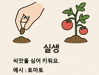 실생 번식(씨앗으로 키우기)