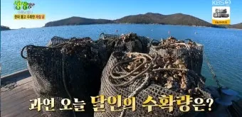 생생정보 수확 달인 미사리 커피농장 소개_11