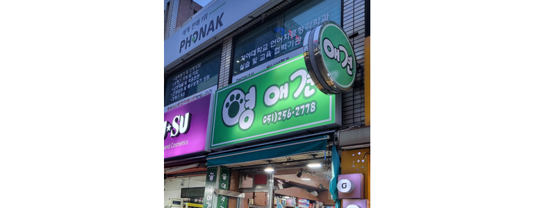 부산 영도구 동물병원