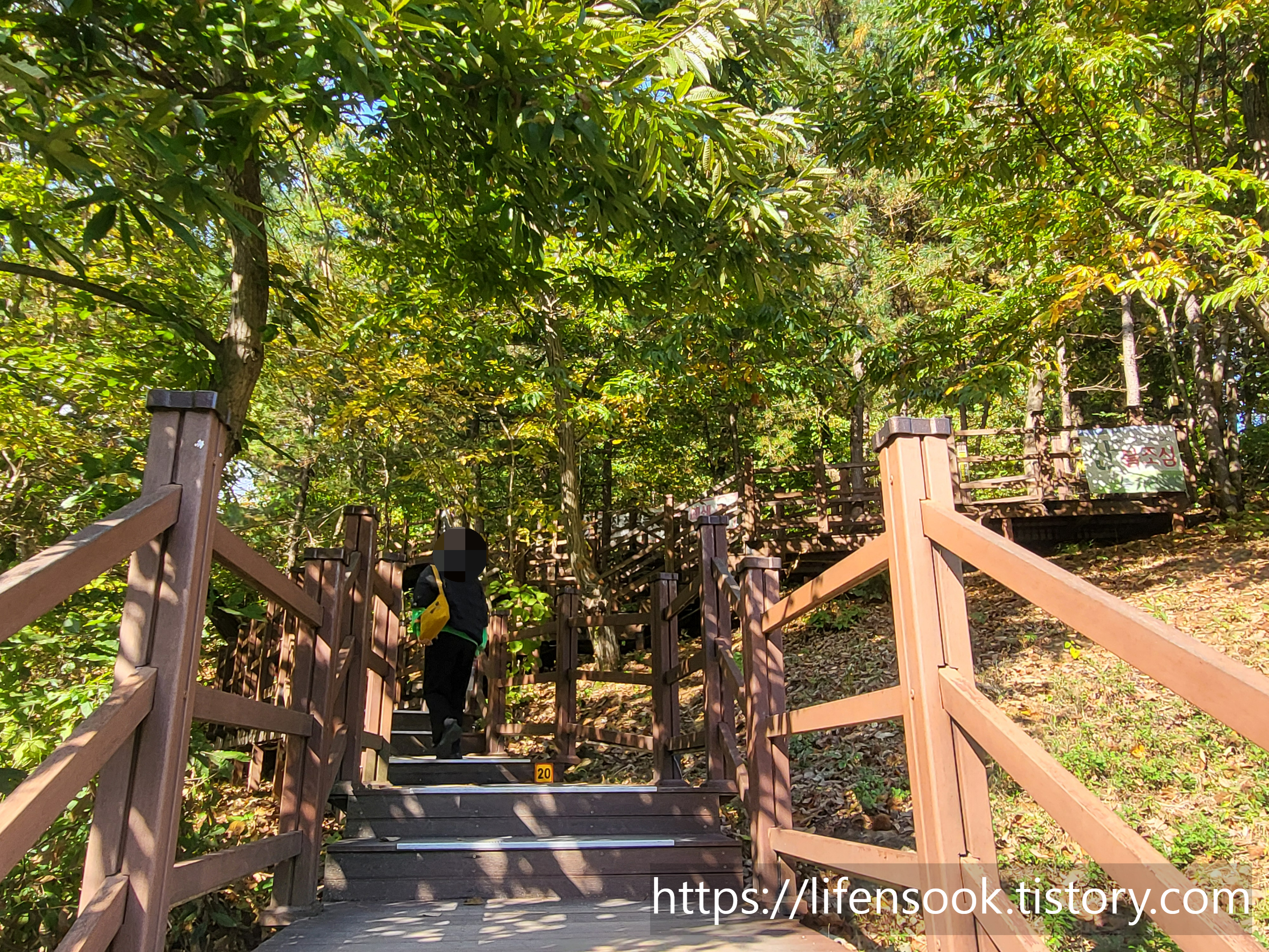 소금산 출렁다리로 가는 테크길