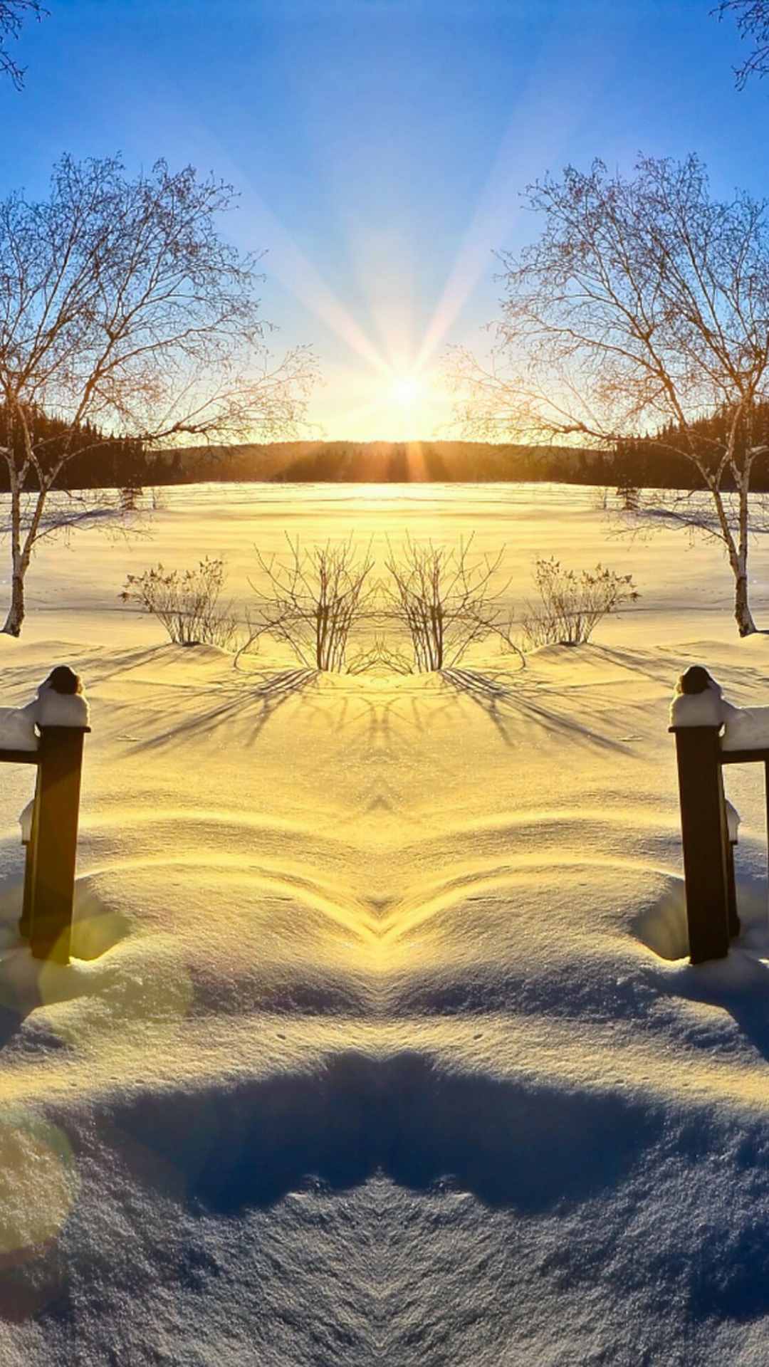 snow wallpaper