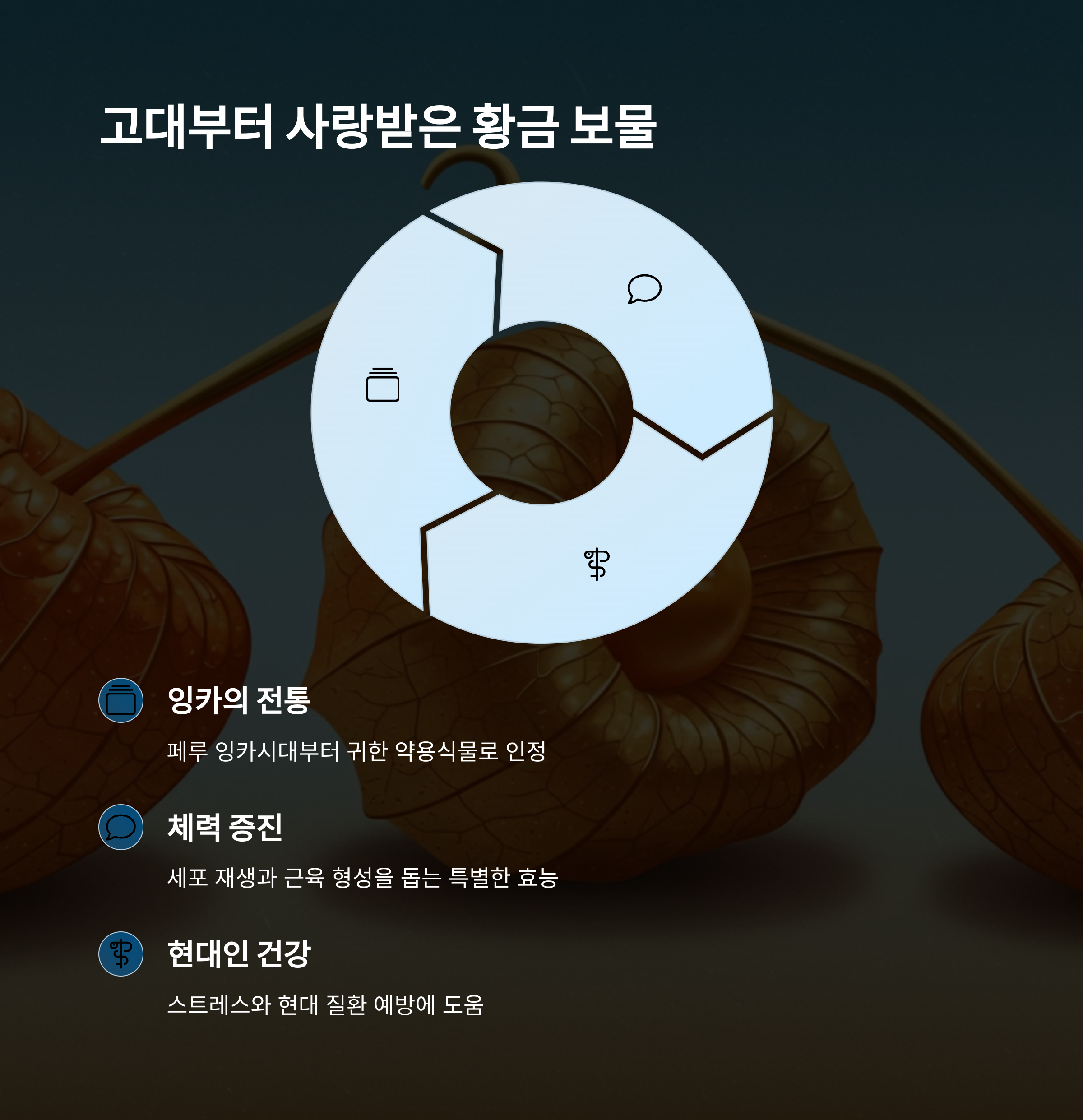 작은 열매가 주는 선물