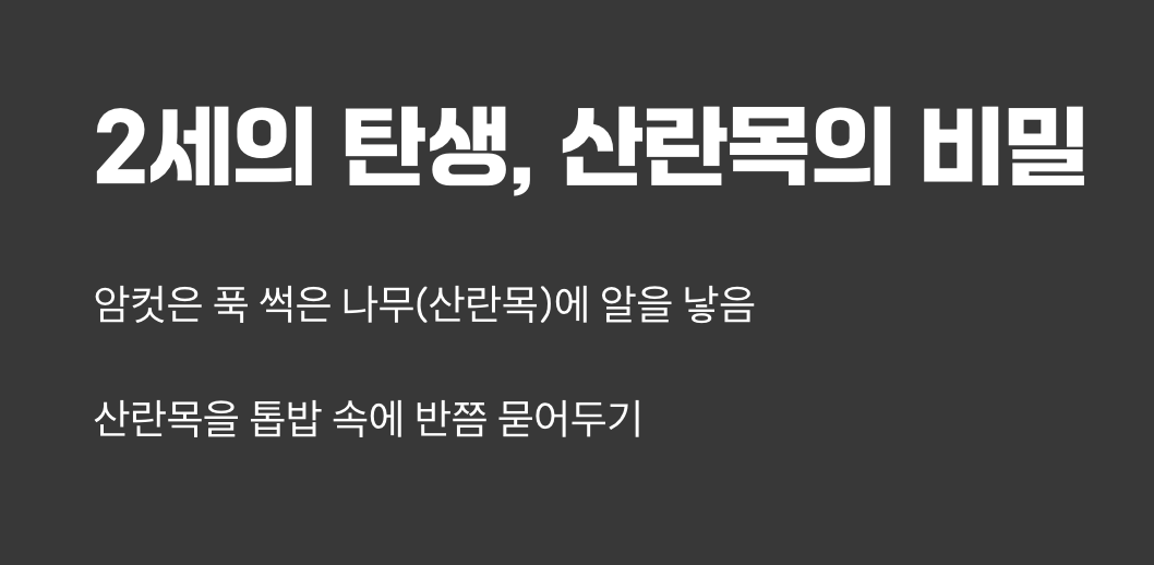 2세의 탄생, '산란목'의 비밀