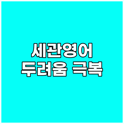 세관 영어 질문 두려움 극복! 완벽 ..