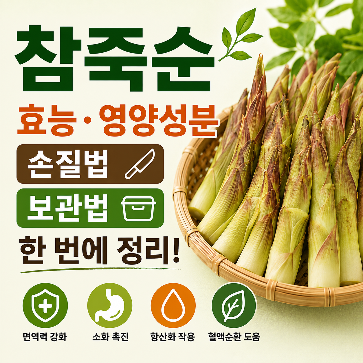 참죽순 효능