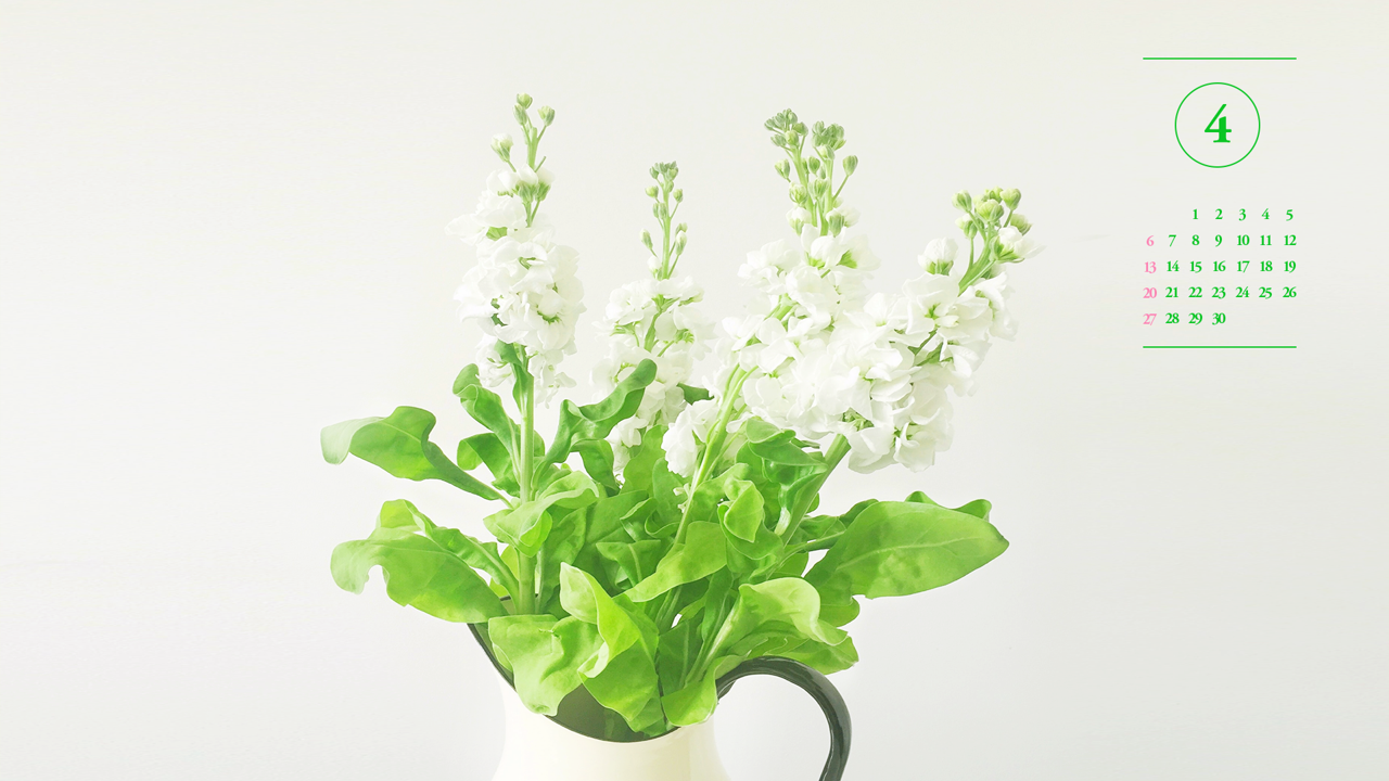 04 꽃병에 흰꽃 A - 2025년4월 노트북배경화면