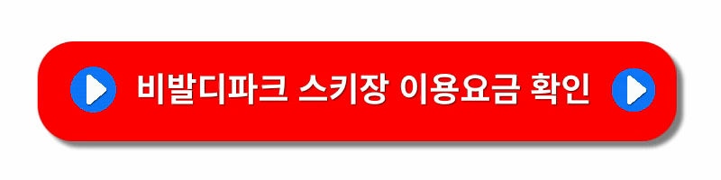 국내스키장-추천-BEST5