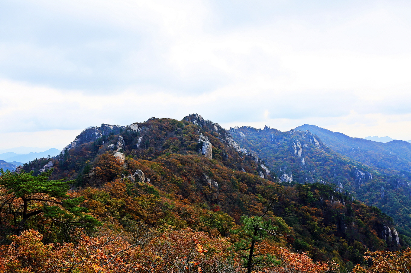 2022년 단풍시기 절정 및 단풍 명소 총정리
