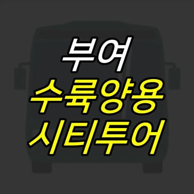 관광버스-그림자가-그려진-그림-위에-부여-수륙양용-시티투어-글자가-적혀있다.