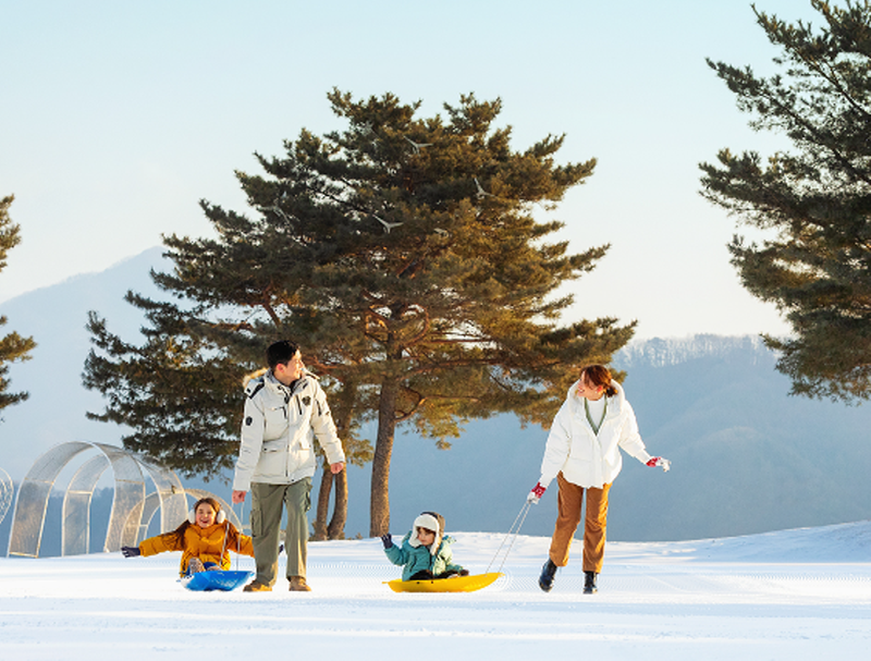 스노위랜드 비발디파크 눈썰매장