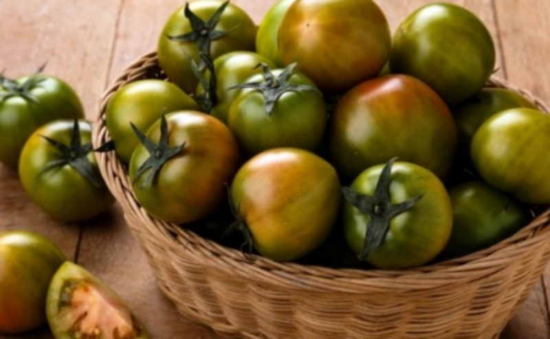 짭짤이 토마토란?