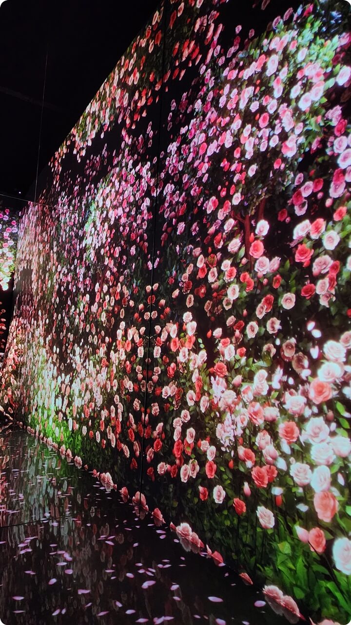검은 배경의 꽃 벽