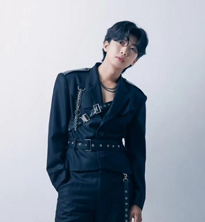 임영웅 굿즈 임영웅 11번가 임영웅 팬카페