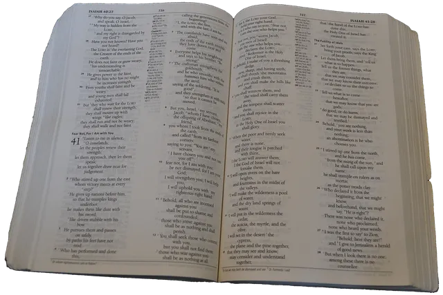 이사야 30장 21절 성경말씀 - 너희가 우편으로나 좌편으로나 치우칠 때에 뒤에서 말소리가 네 귀에 들려 이르기를_2