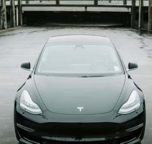 테슬라 주가 전망&amp;#44; 주가 차트&amp;#44; 하락이유