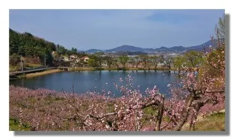 경산 가볼만한곳 베스트10 현지인 추천 필수코스_11