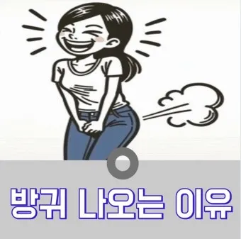 잦은방귀 원인 증상 해결방법_12