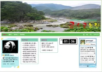 사철나물 재배 상자 텃밭 초보 가능 물 관리_9