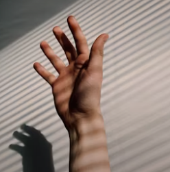 대상포진 예방접종 가격