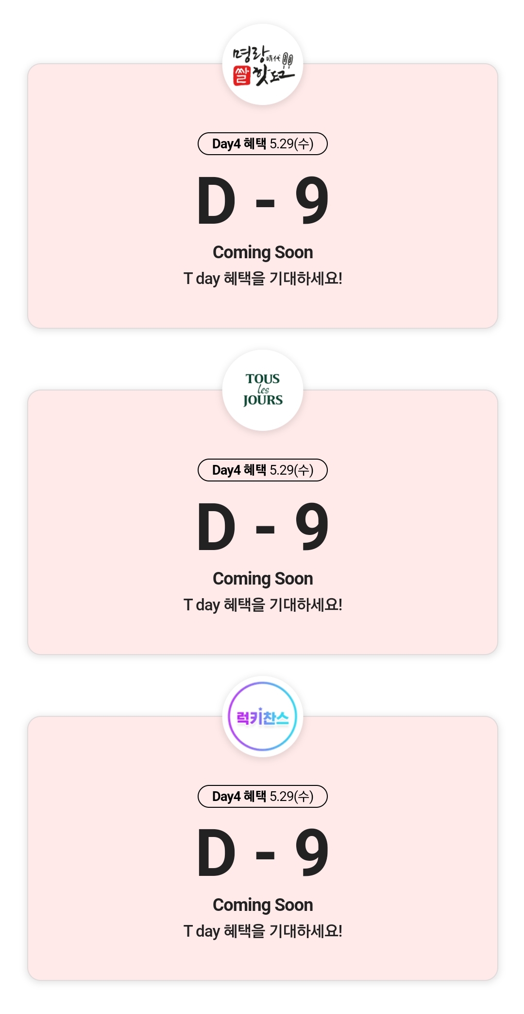 5월 티데이