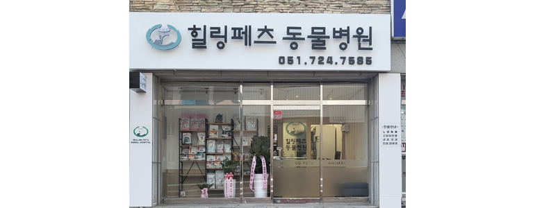 부산 기장군 동물병원