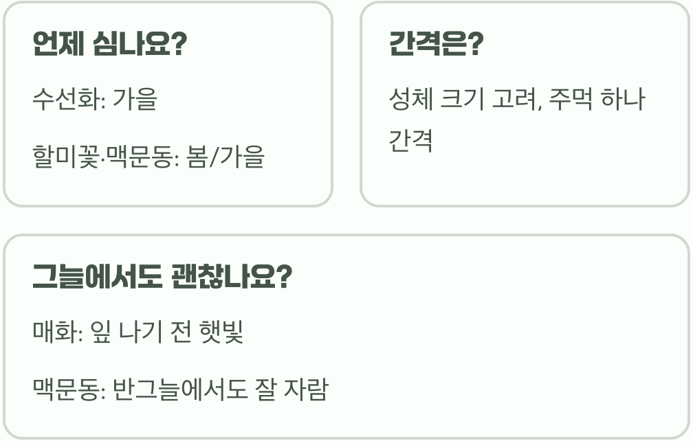 매화와 함께 심으면 좋은 식물 BEST 3 (봄 정원 조경 꿀팁)