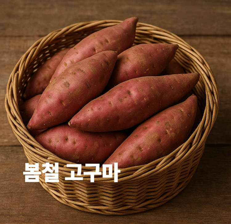 부드러운 식감과 은은한 단맛 봄철다이어트 고구마 효능 영양성분