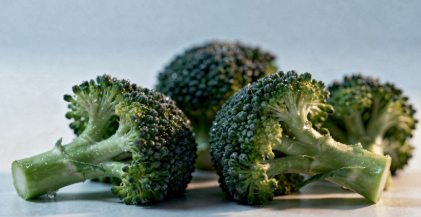 췌장에 좋은 음식