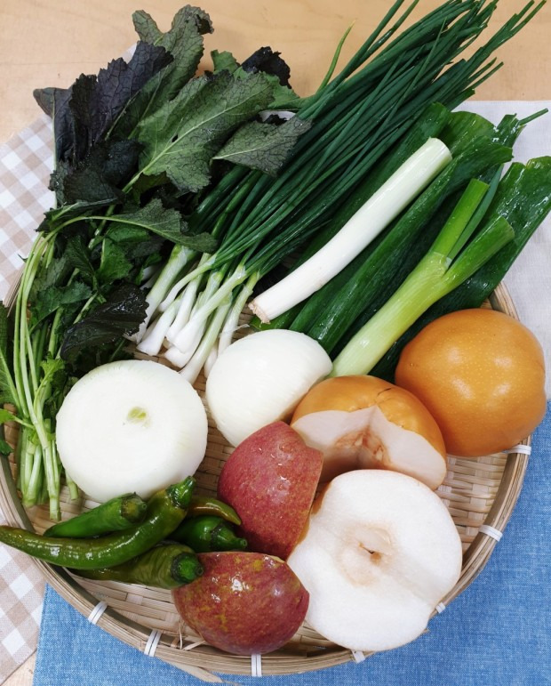 동치미 각종 채소 재료