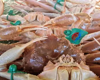 영덕대게축제_13