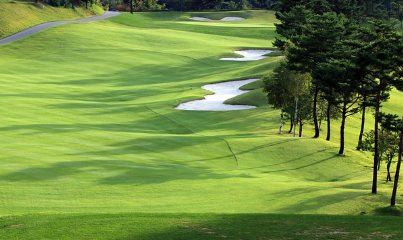 골프장 잔디