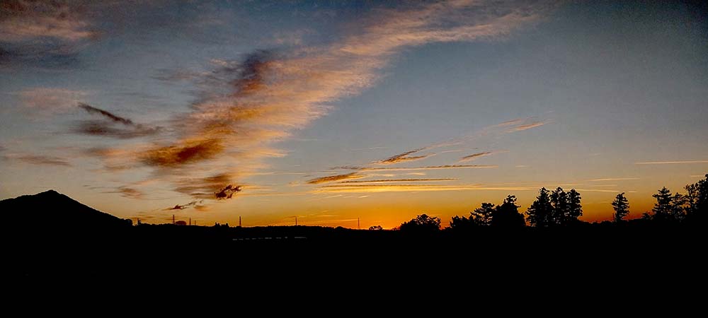 겨울바람 부는 아침 노을 배경의 억새