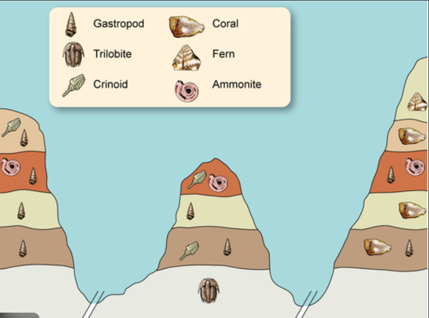 지질학적 시간과 인간의 시간 관련 사진