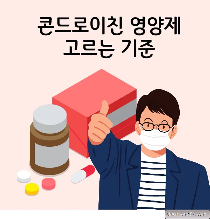 콘드로이친