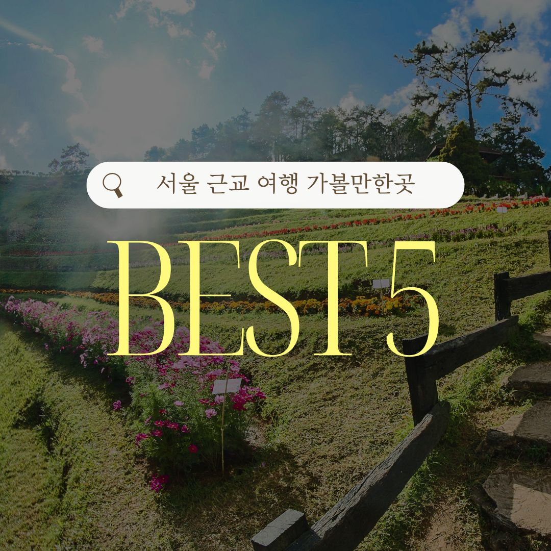 서울 근교 여행 추천 TOP5, 5월에 꼭 가야 할 당일치기 명소