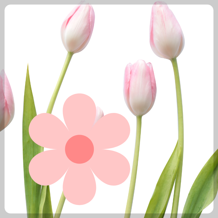 카멜리아힐-입장료