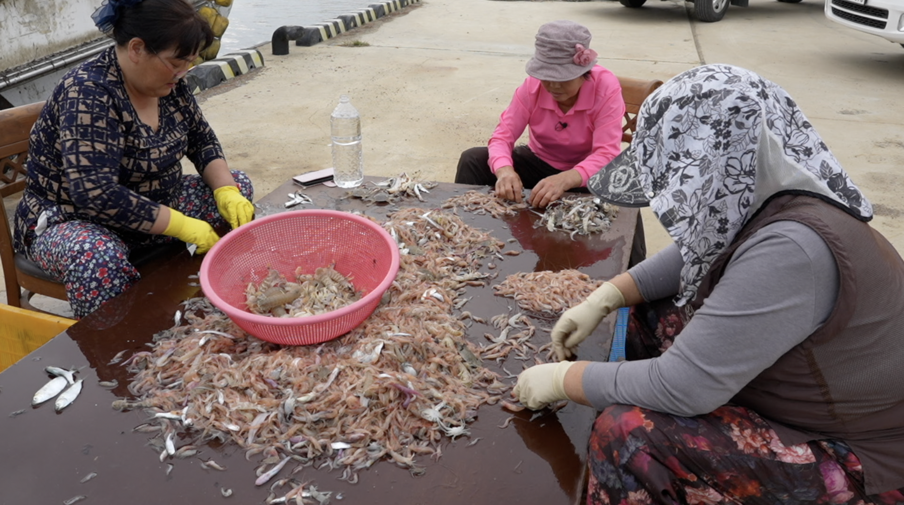 한국인의 밥상 고두심 스페셜 나레이션