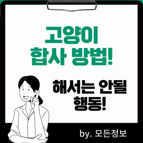고양이 합사하는 방법