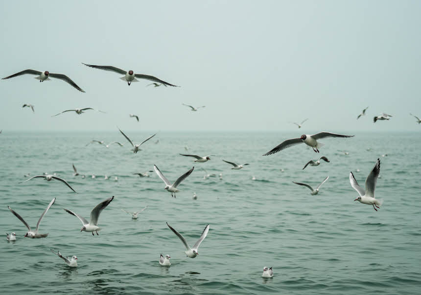 내면의 평화를 찾는 10분 명상