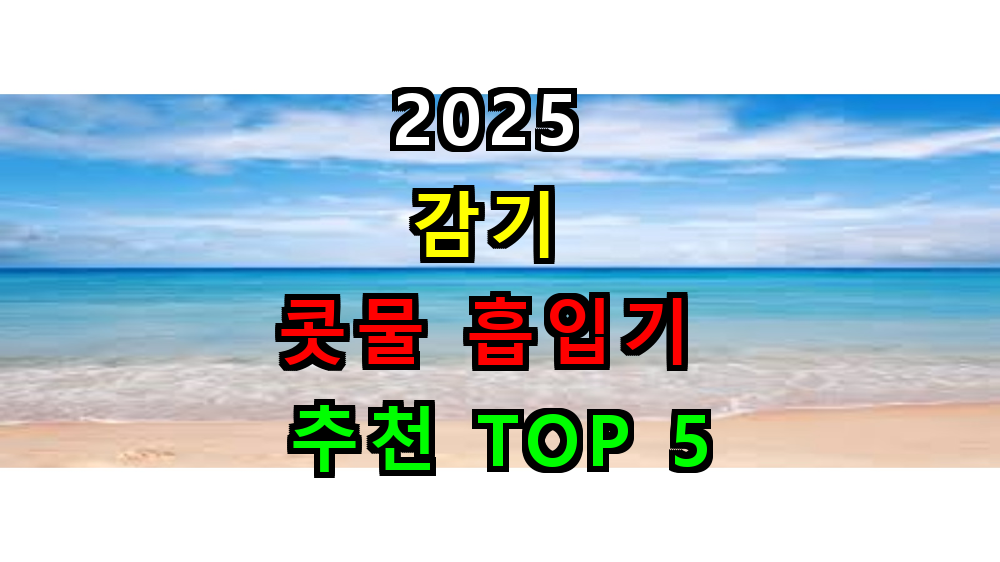 2025 감기 콧물흡입기 추천 TOP 5