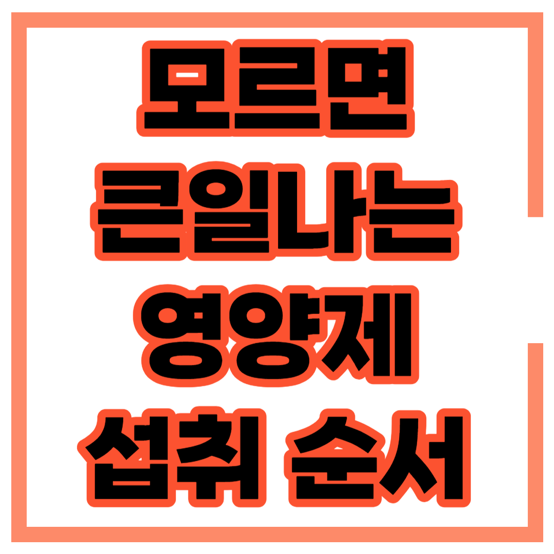 영양제 섭취 순서