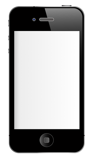운동 기록 앱 추천