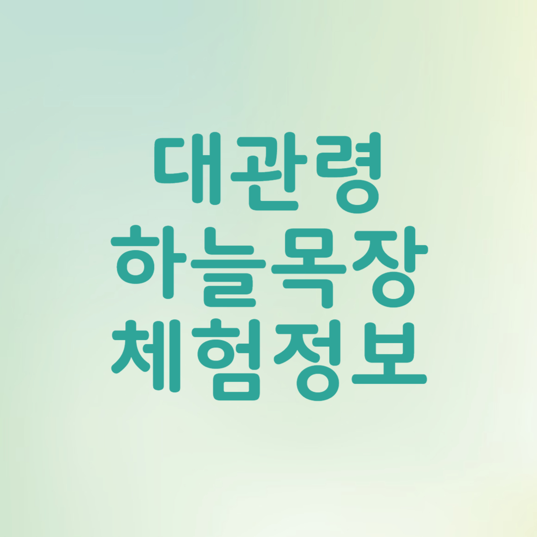 대관령 하늘목장 체험 정보