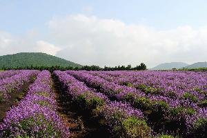 제주도 가볼만한곳