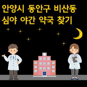 안양시 동안구 비산동 심야 야간 약국 찾기